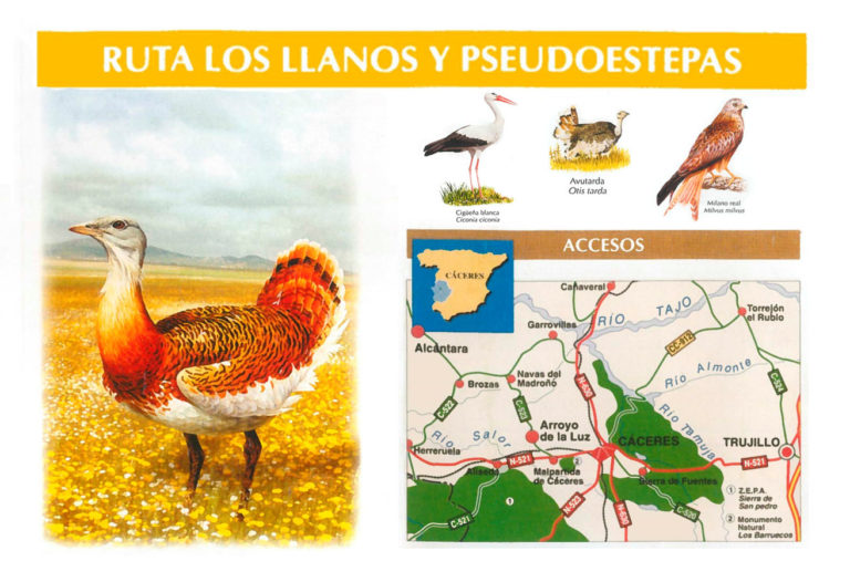 Ruta Los Llanos de Cáceres